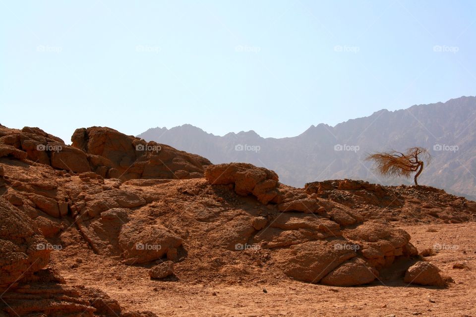 High angle view of nature