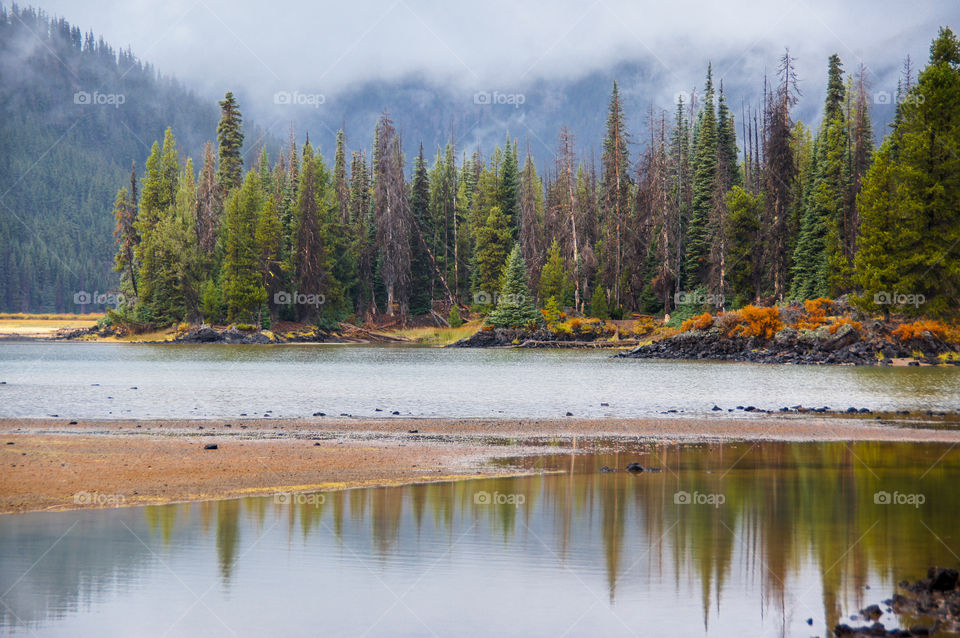 Forest trees reflecting on lake