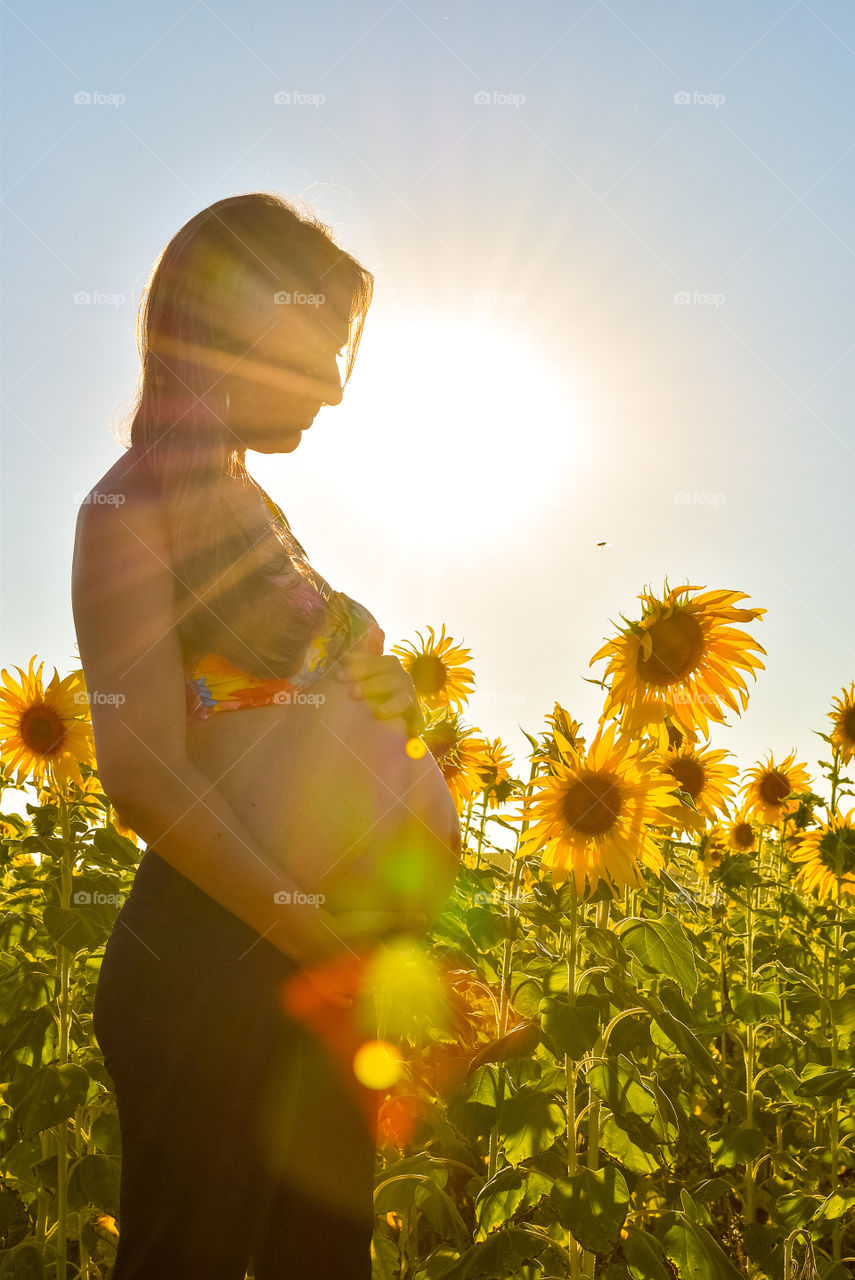 coming soon, baby, sunflowers, Brazil