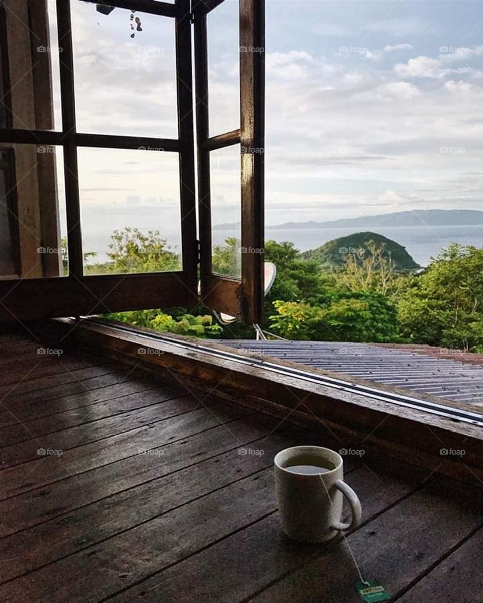 Morning Tea View
