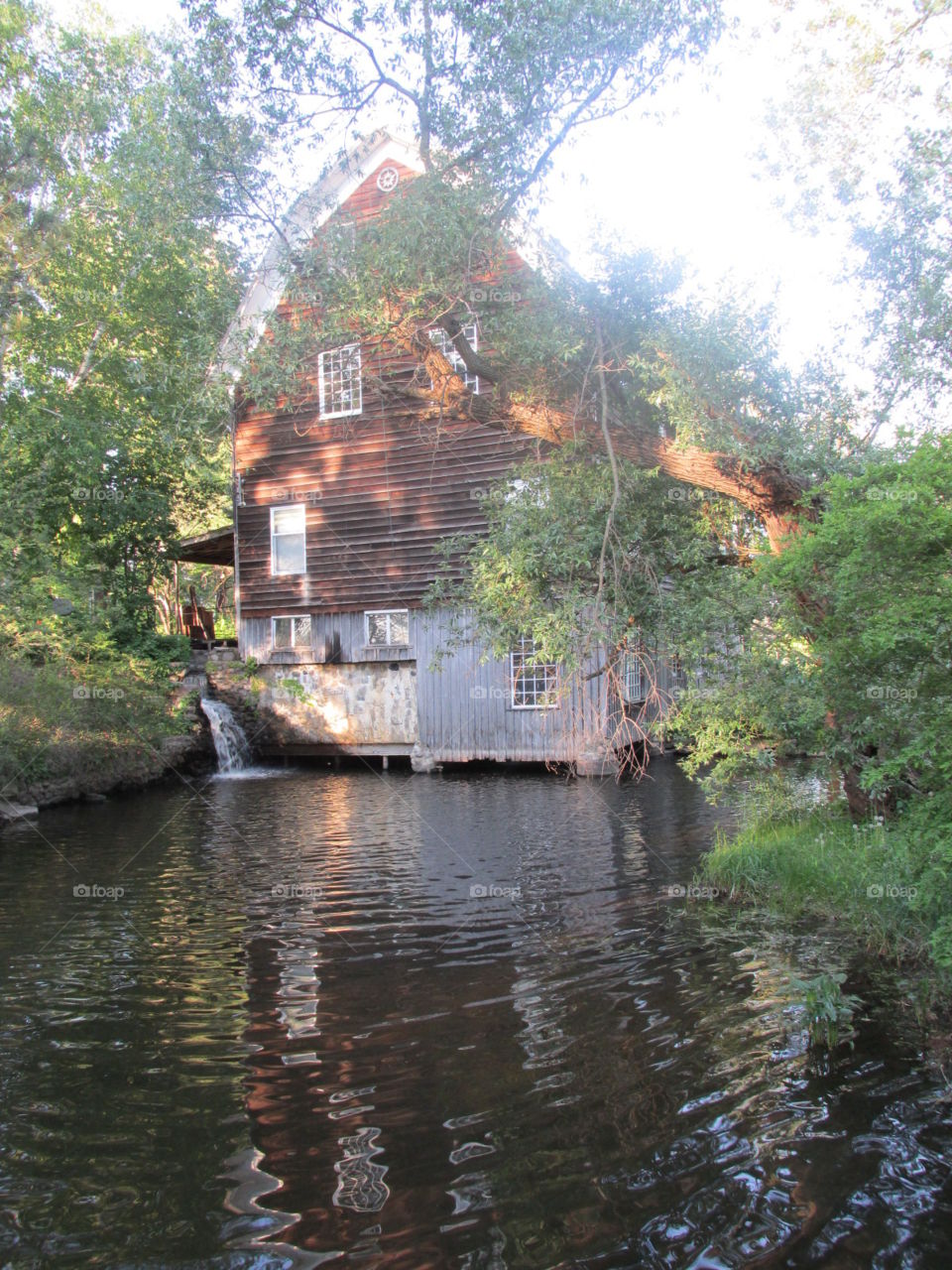 Water, River, Wood, Tree, No Person