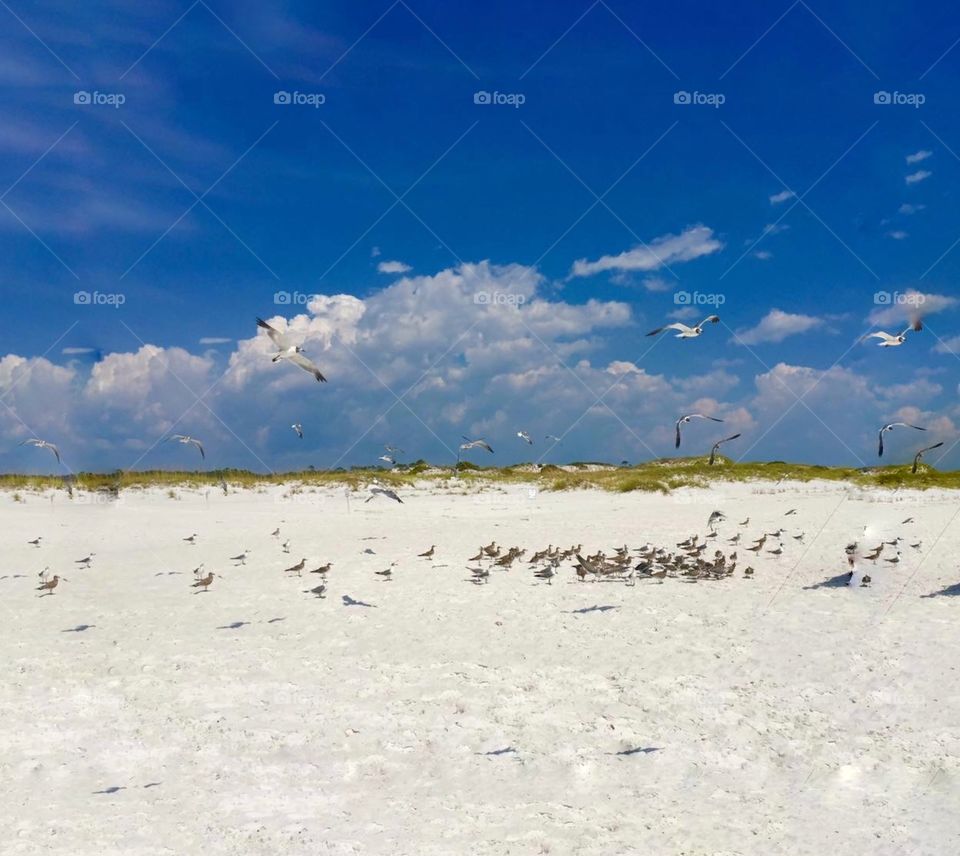 You never know what you will see on the beach 