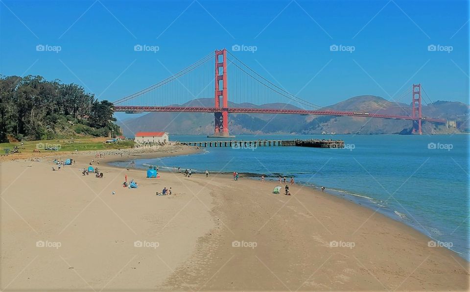 drone photography on a sunny day at the beach
