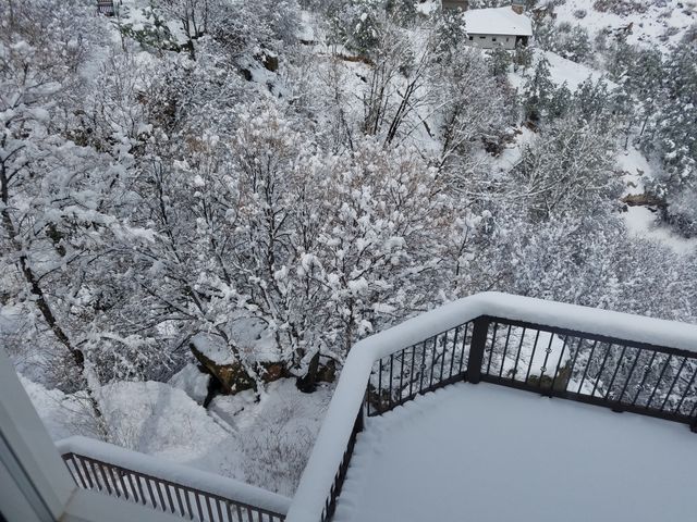 Elevated view of snow covered trees