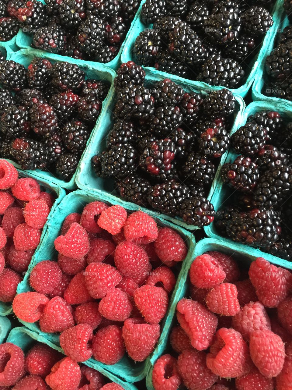 Fresh Raspberries & Blackberries 