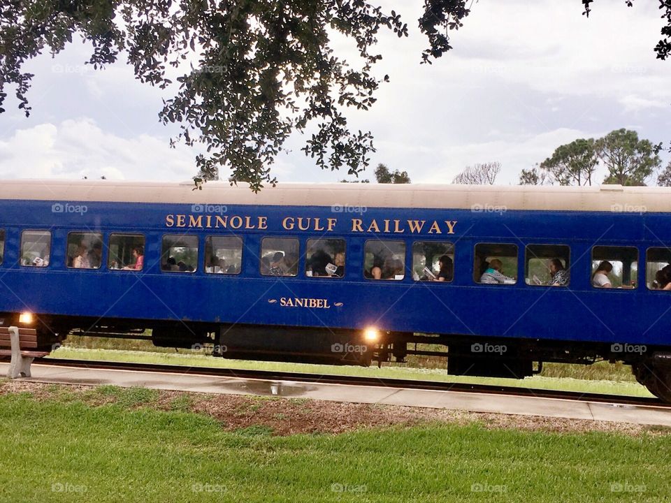 Murder Mystery Train