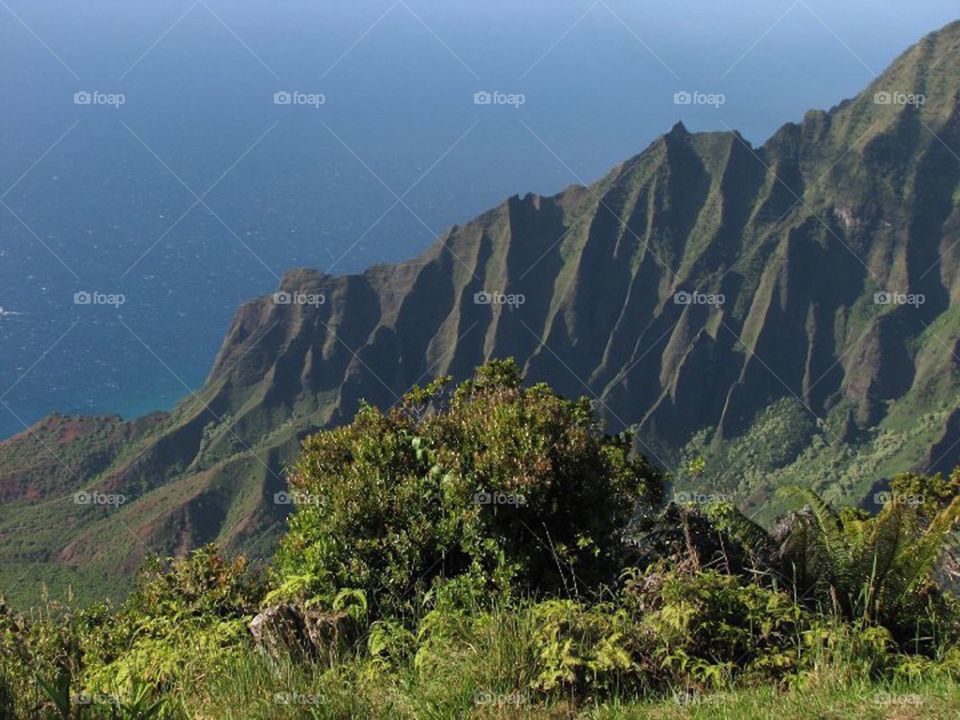 Napali