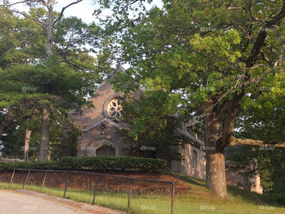 Tree, No Person, Grass, Park, Travel