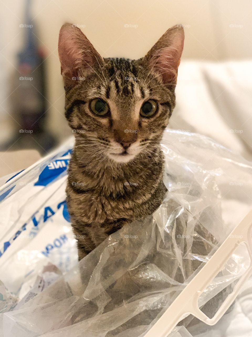 Oh did you need this bag?