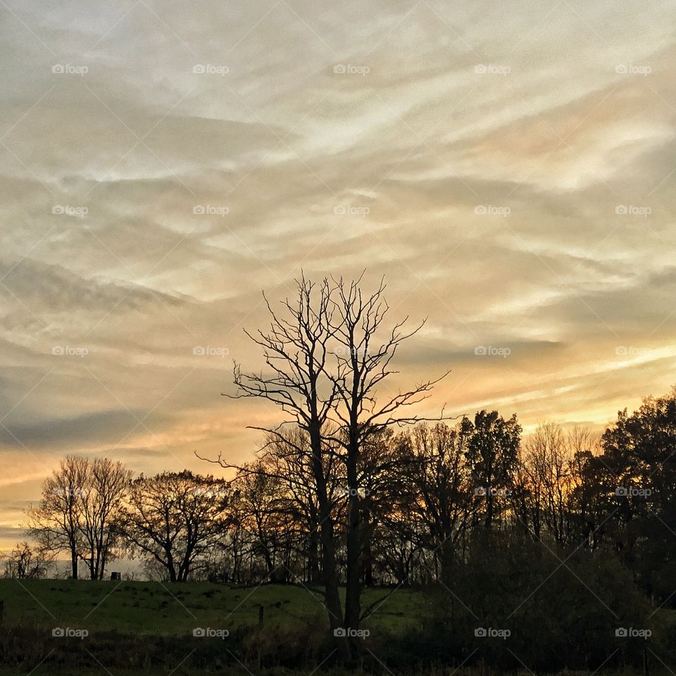 Bigger then thyself which can’t be controlled...intriguing 