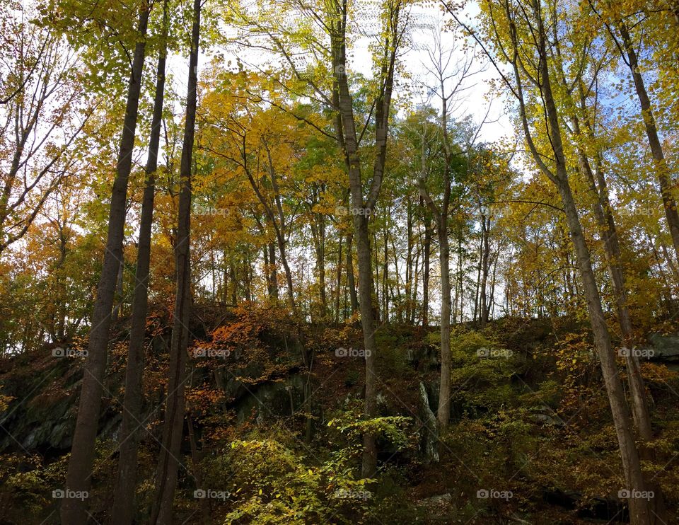Fall foliage at Kilgore Falls