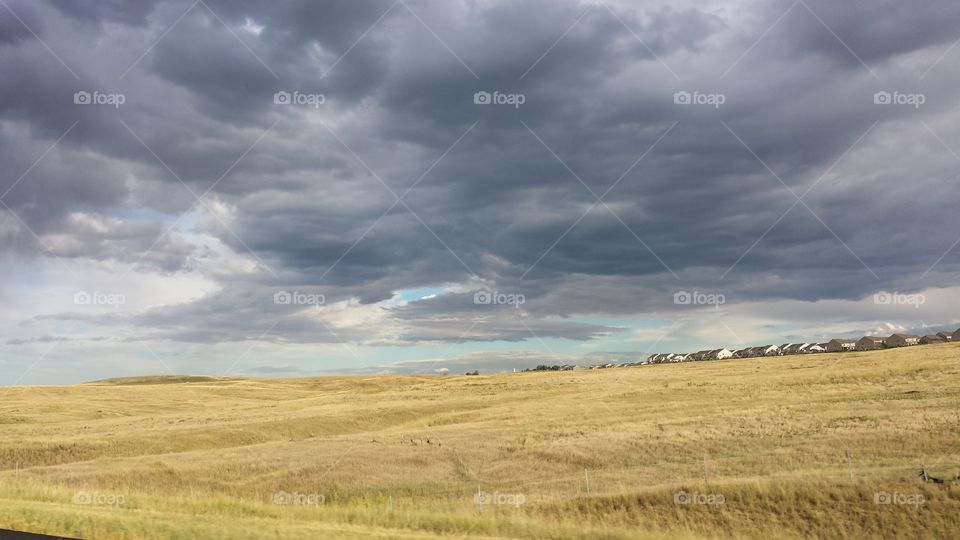 Colorado Landscape 2