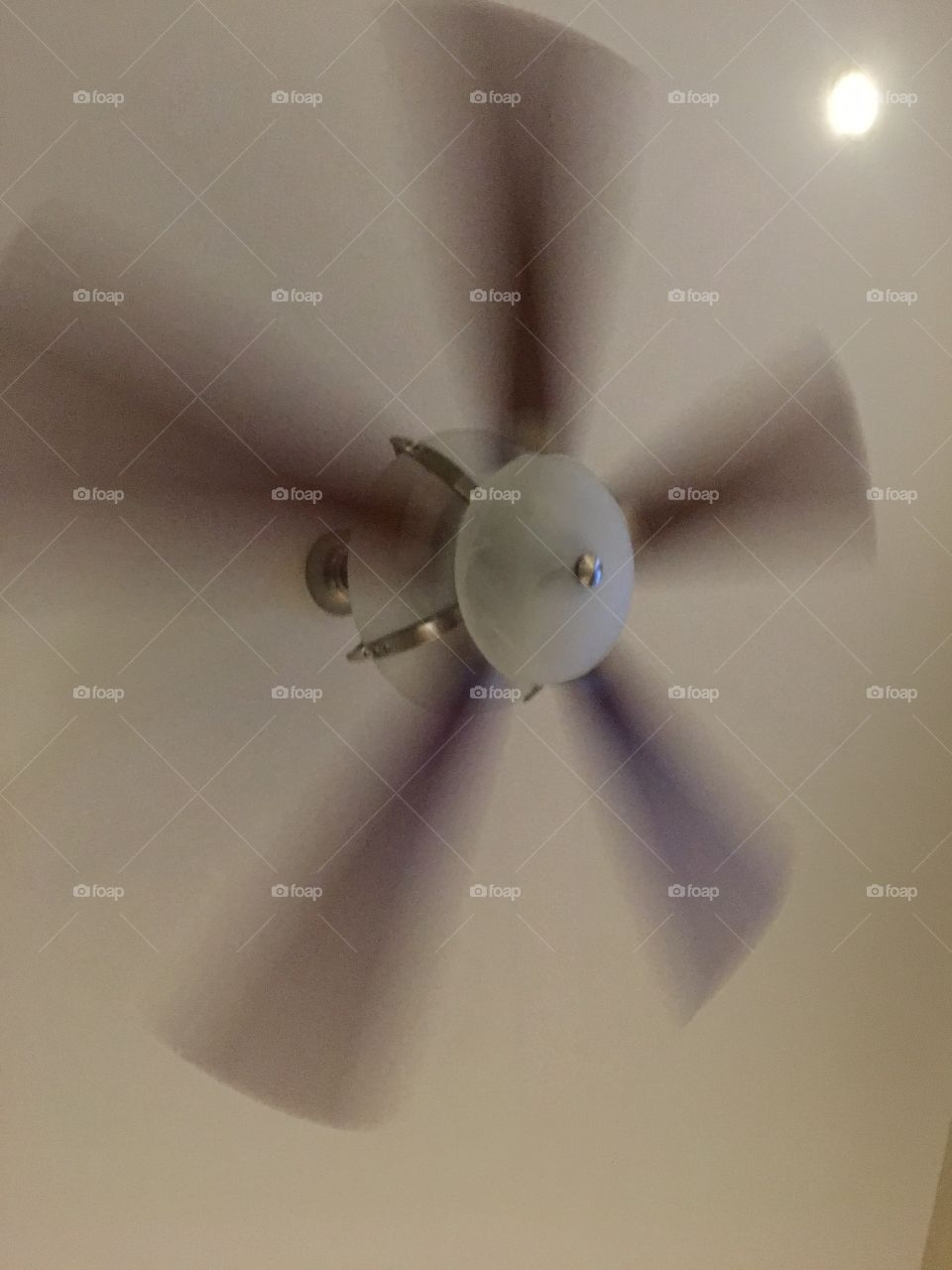 My biggest fan