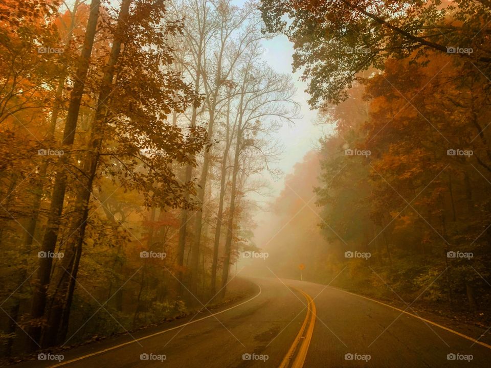 Foggy, fall morning in East Tennessee