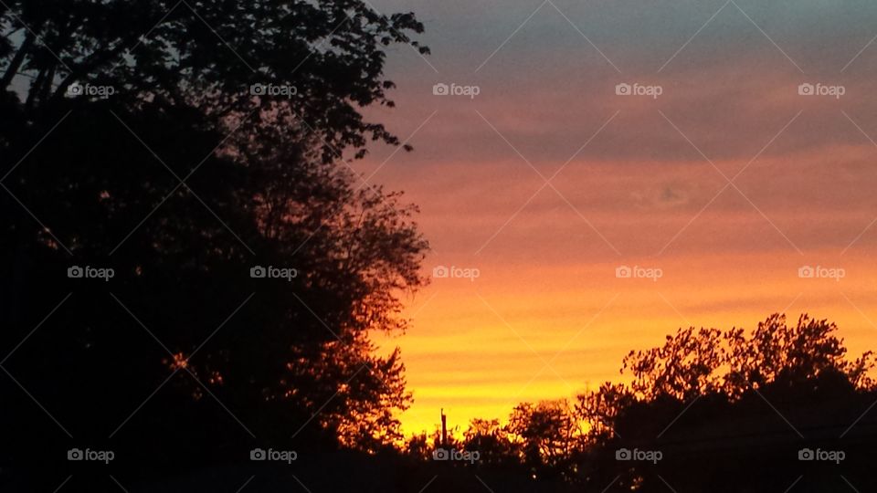 summer sunset. beautiful sky