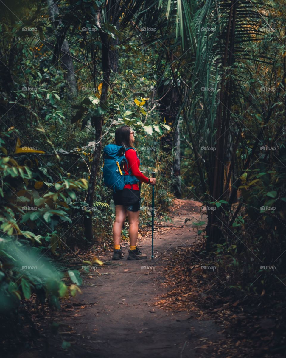 Brazilian Jungle