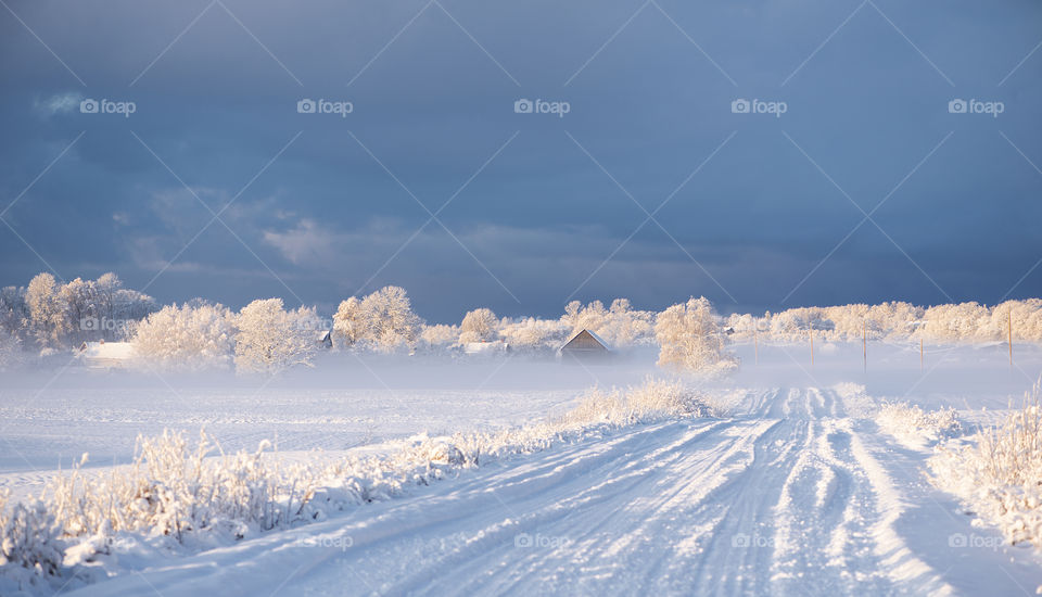 Winter road in Krimulda, Latvia