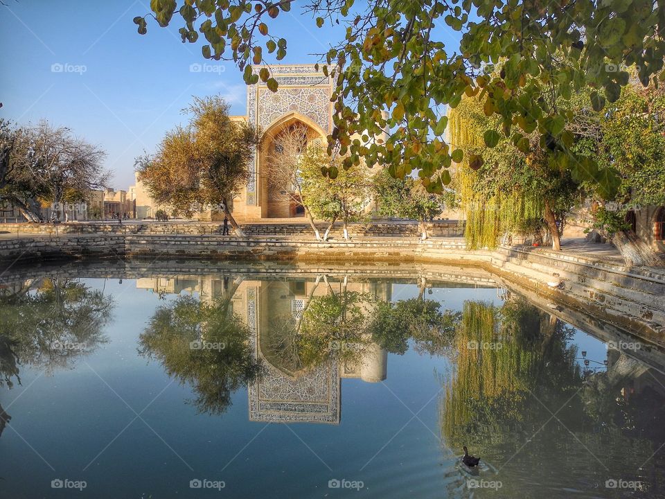 Ancient pond. 