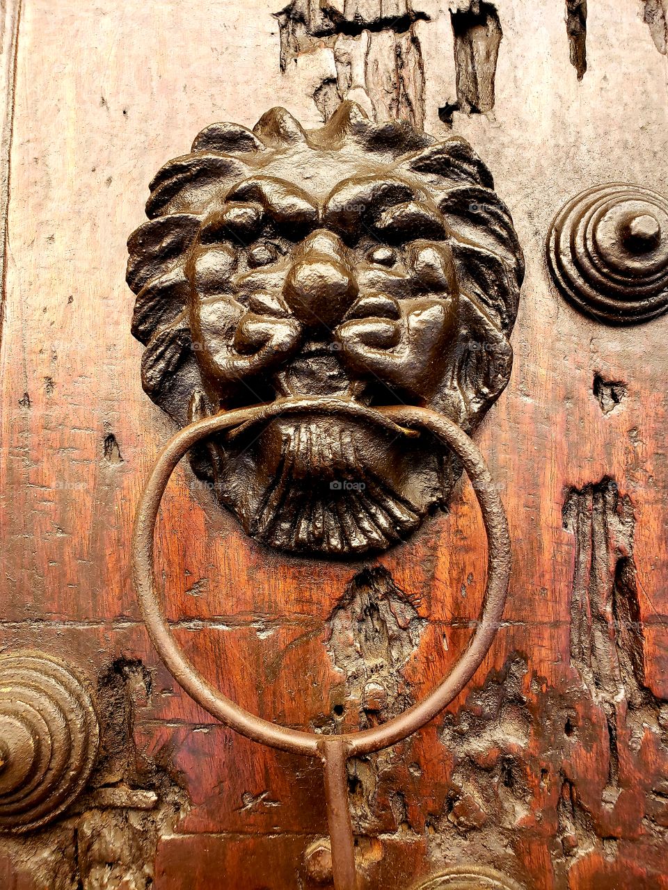 Lion Doorknocker