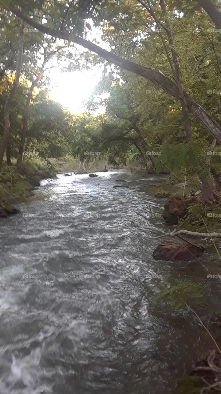 And A Creek Runs Through It