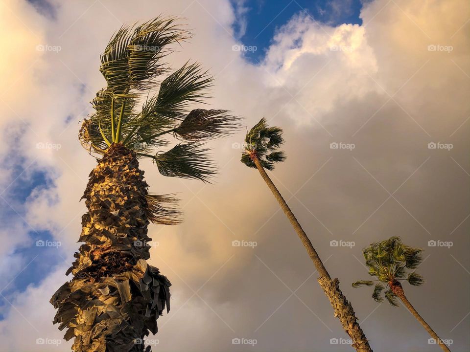 stormy summer sunset in San Diego