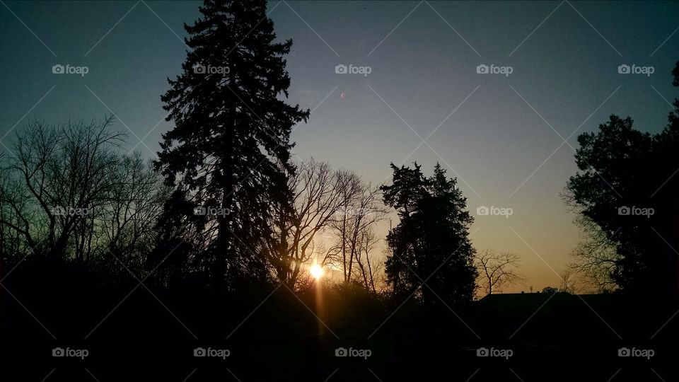 Sunrise Over Trees