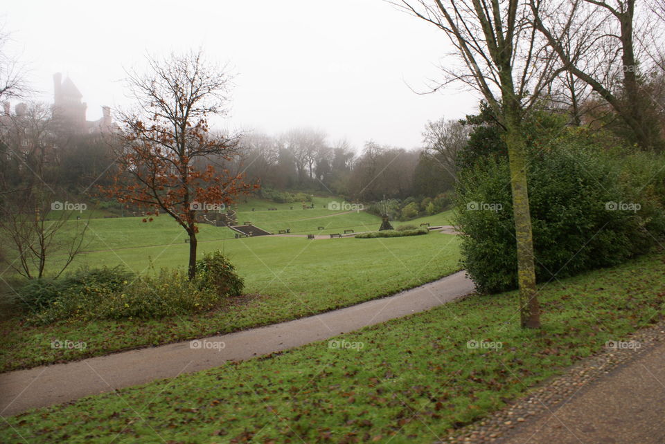Avenham Park