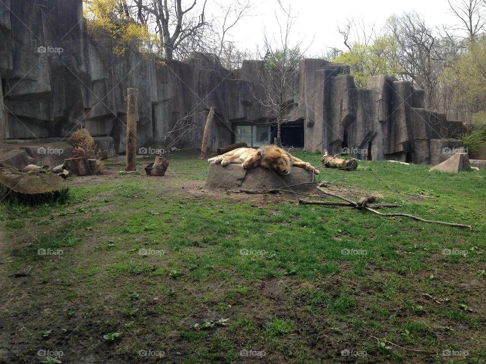 Milwaukee County Zoo