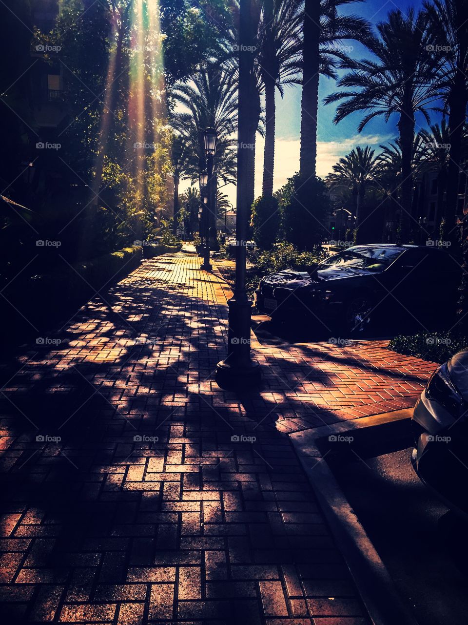 Street in La Jolla, San Diego, California