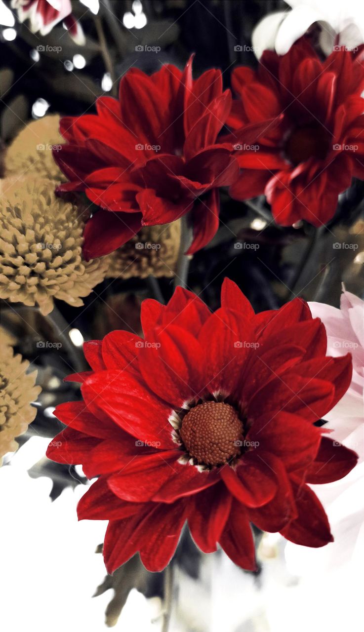 Bouquet of flowers, large-flowered chrysanthemum