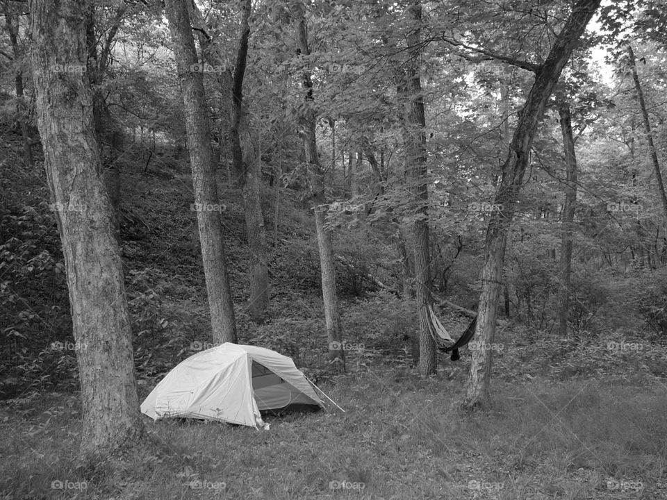 Camp site on the Turkey Hollow Trail