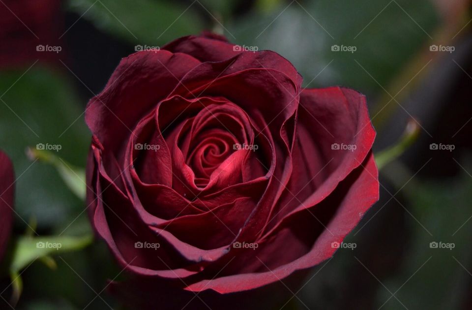 instead of a thousand words