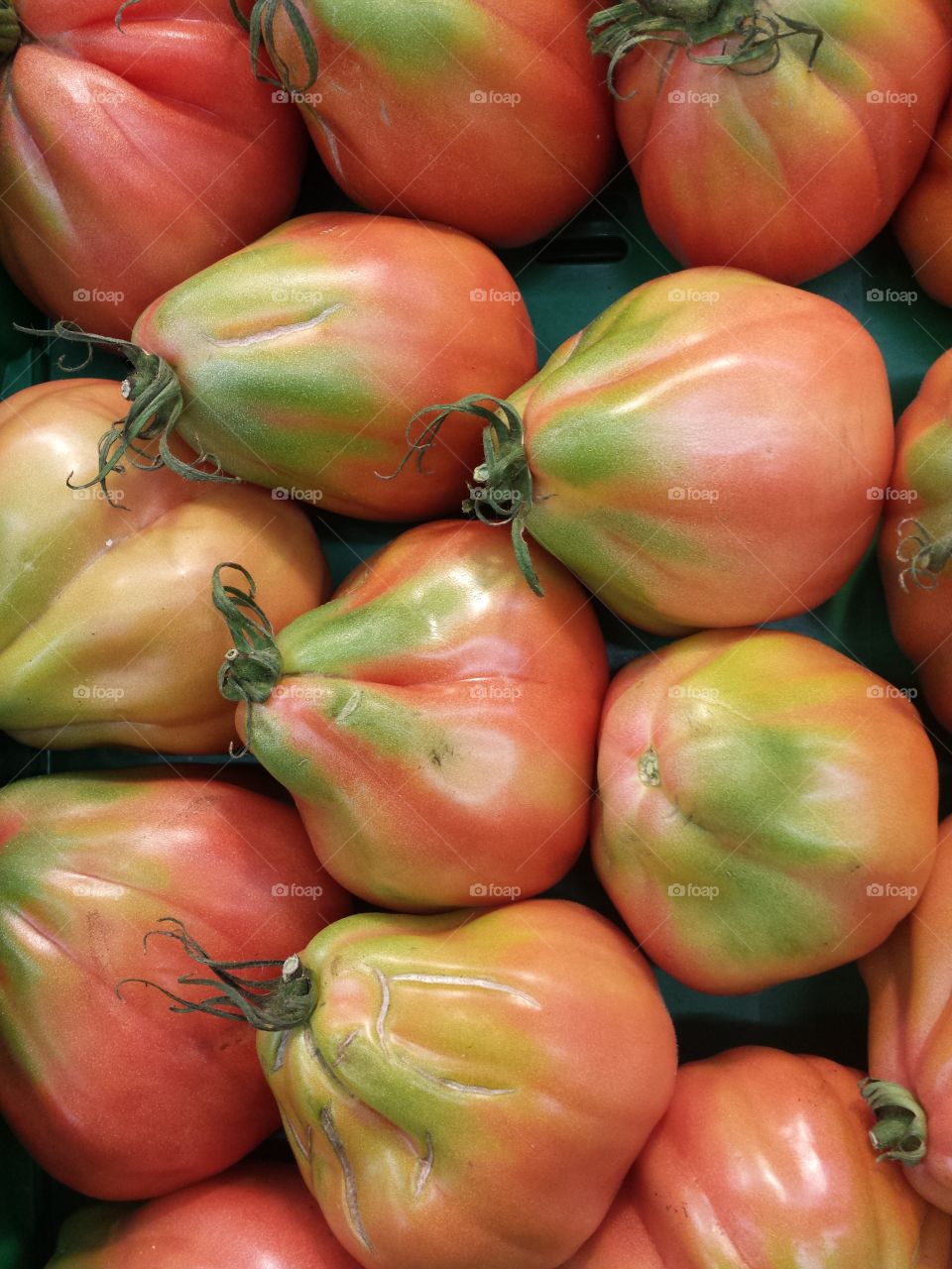 Overhead view of tomatoes