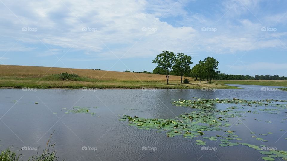 Water, Landscape, Lake, No Person, River
