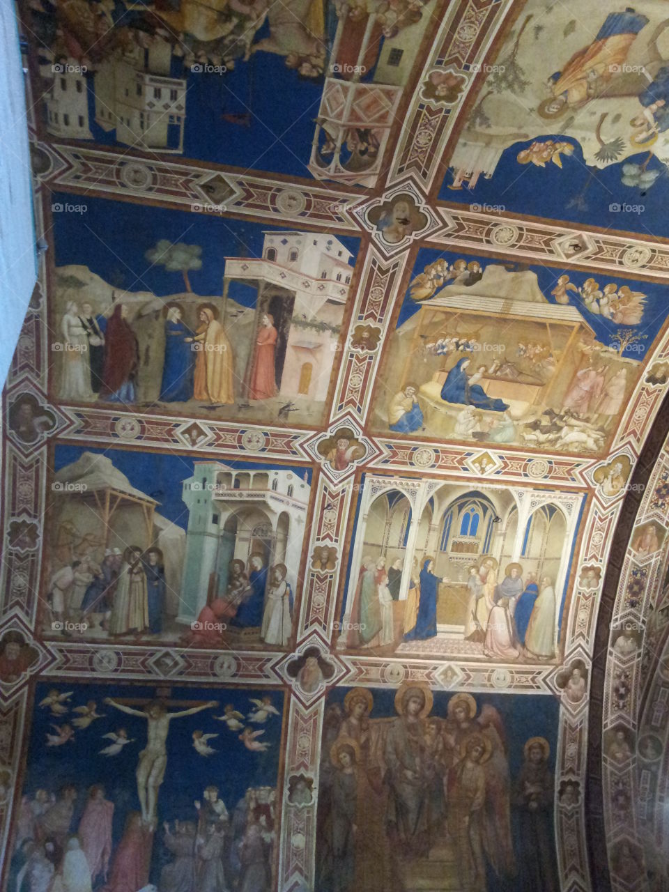 Assisi affreschi di Giotto