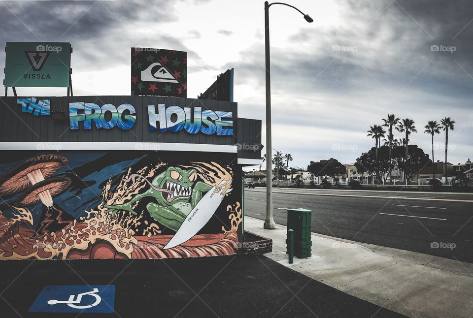 The frog house