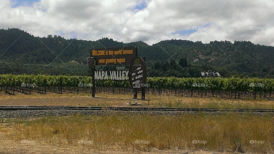 Napa valley, California
