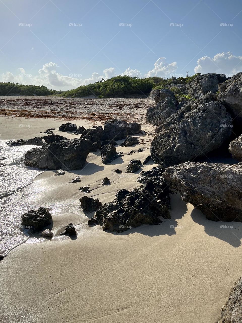 Wild Caribbean beach 