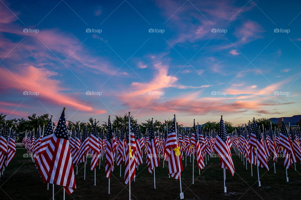 Field of Honor 1