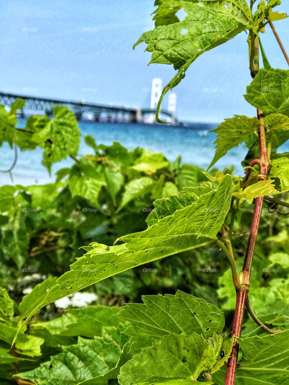 Color in a world where color isn’t always there. 