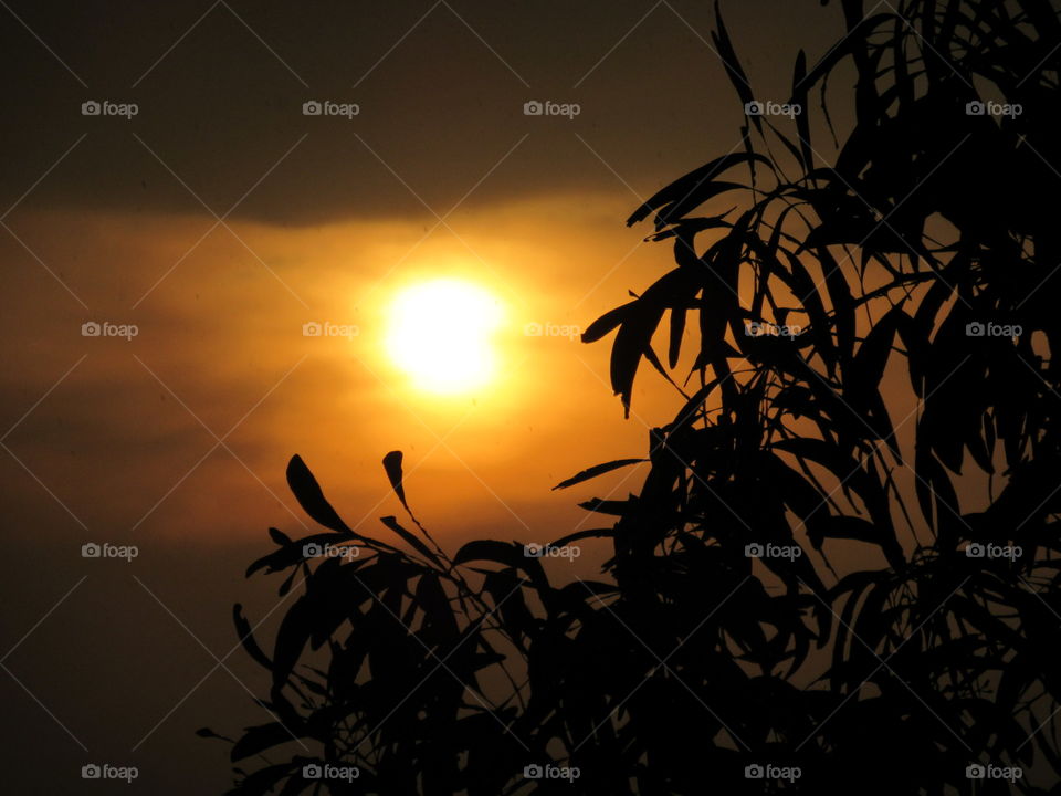 Silhouette sunset