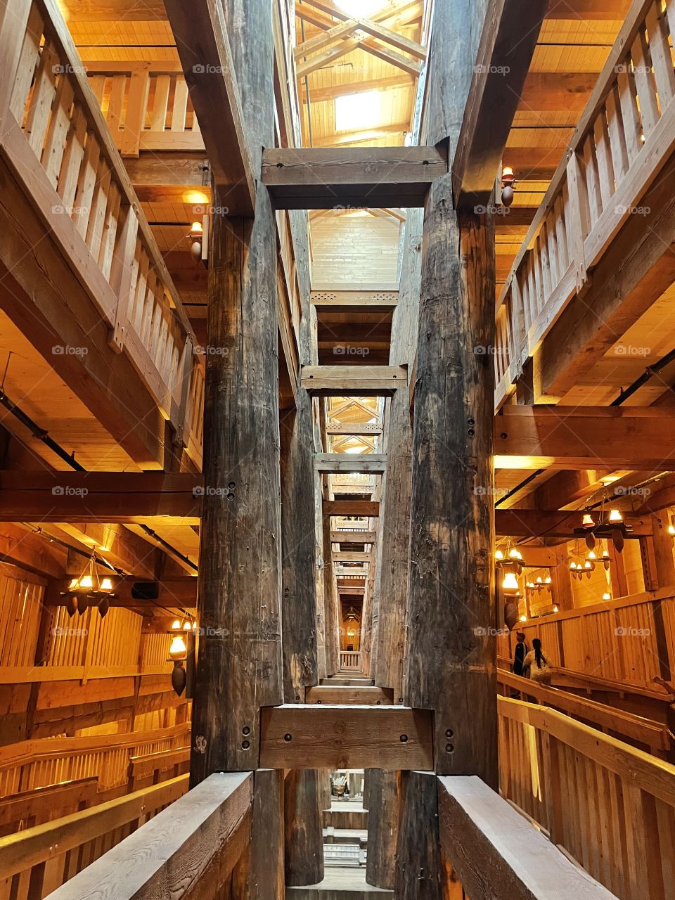 Inside the ark. 