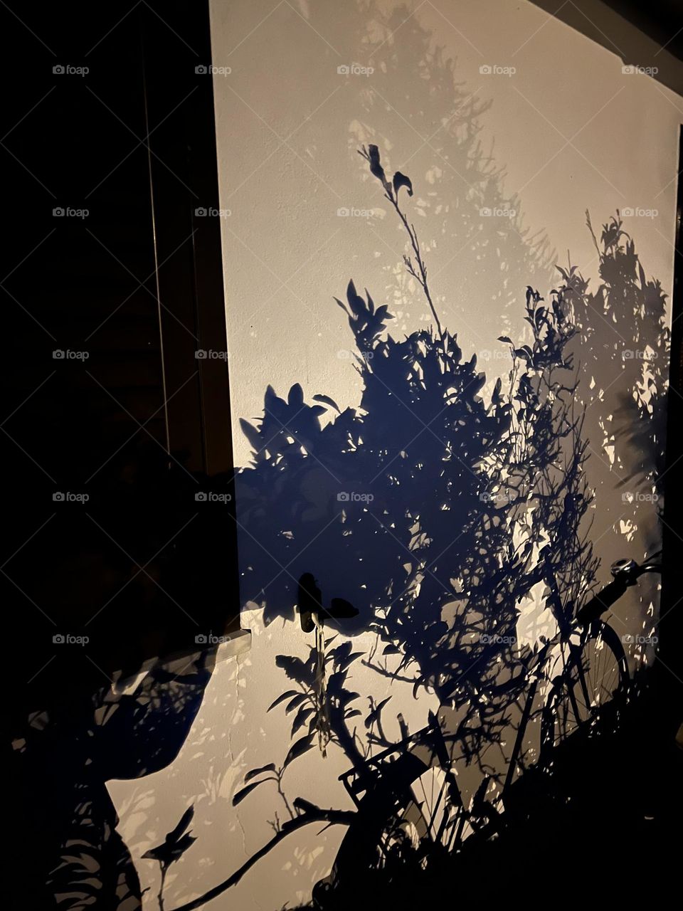 Different level of shadow