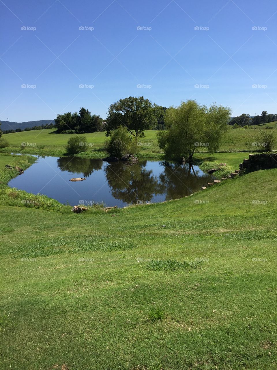 Chamberlyne Pond