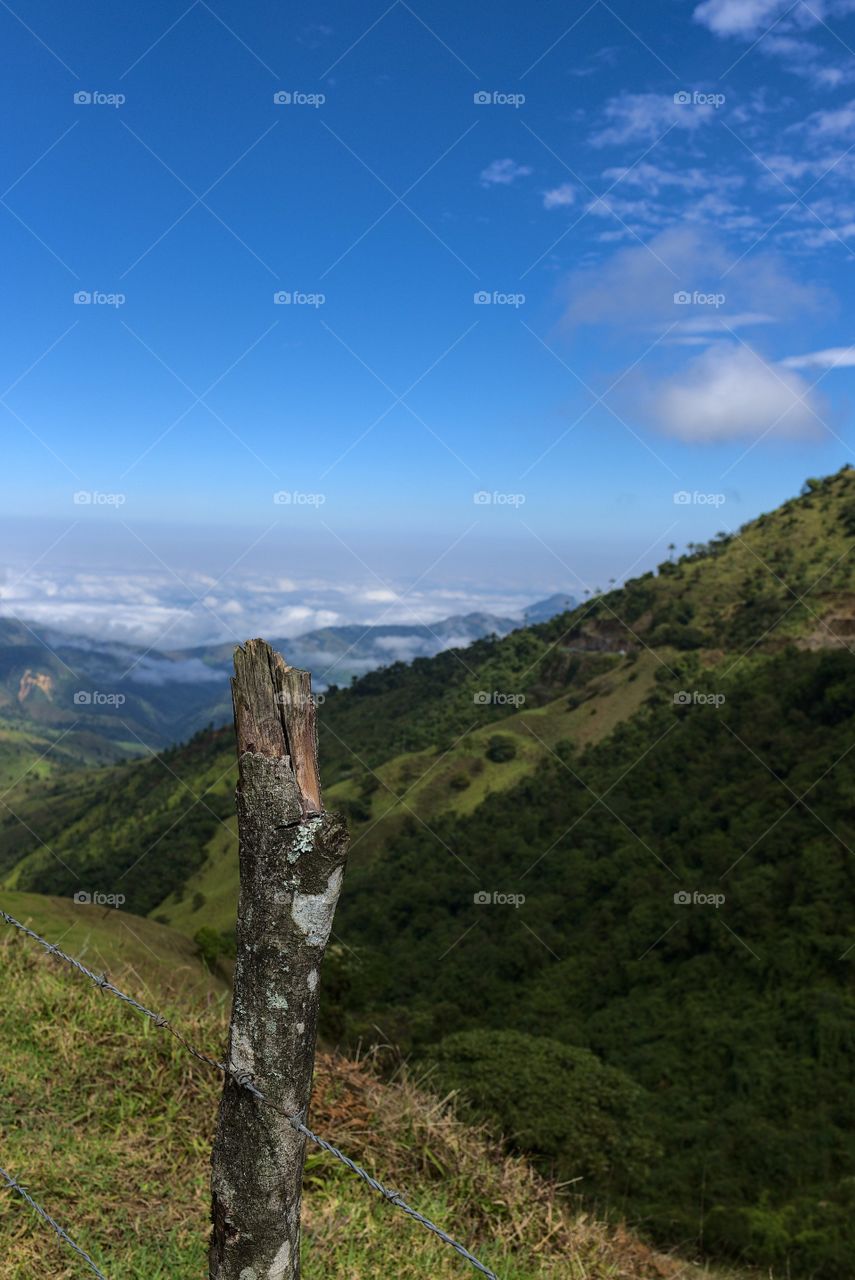 Tree trunk on green mountain top