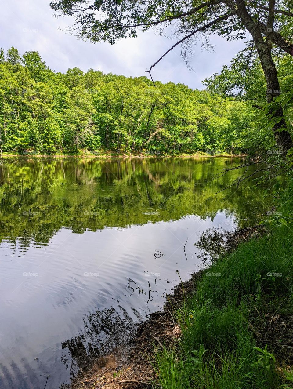 Hike in woods