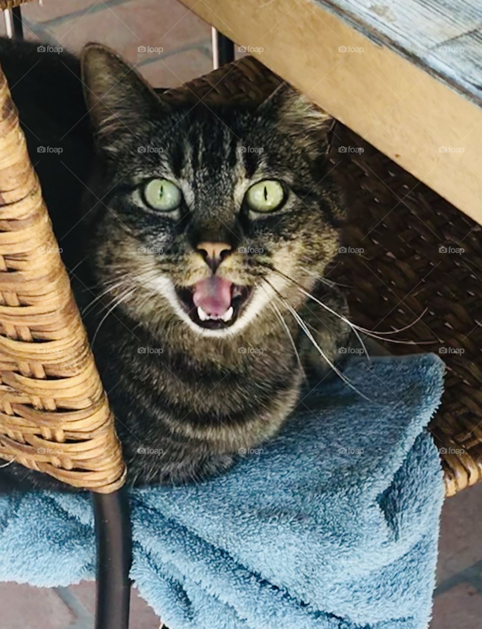 Joy looks a bit surprised! 