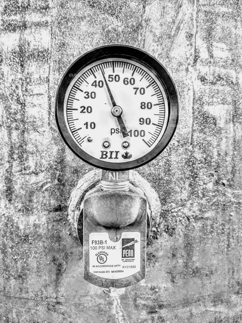 Black and white version