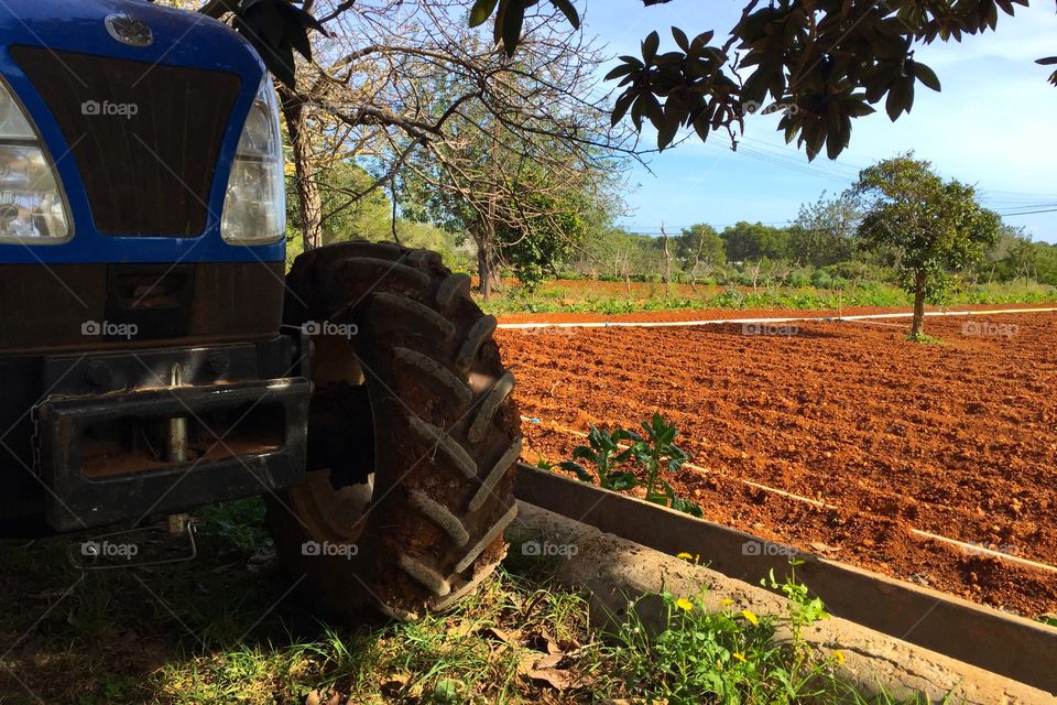 Tractor by a field