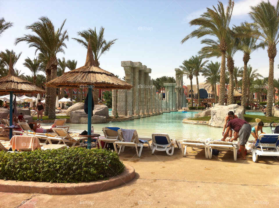 tree palm sun pool by sp-luk